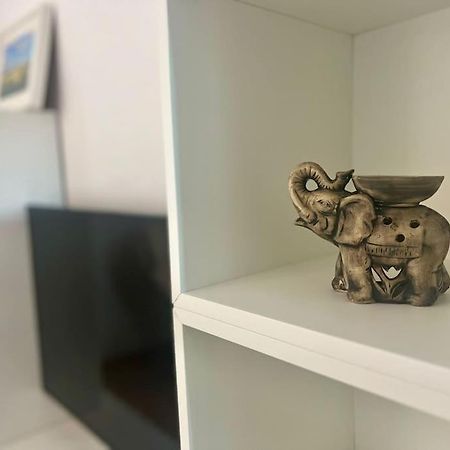 Apartament Cipariu Corner Kluż-Napoka Zewnętrze zdjęcie